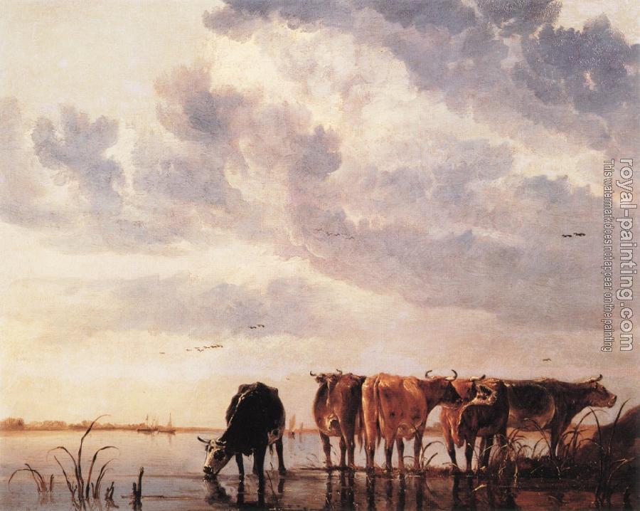 Aelbert Cuyp : Cows